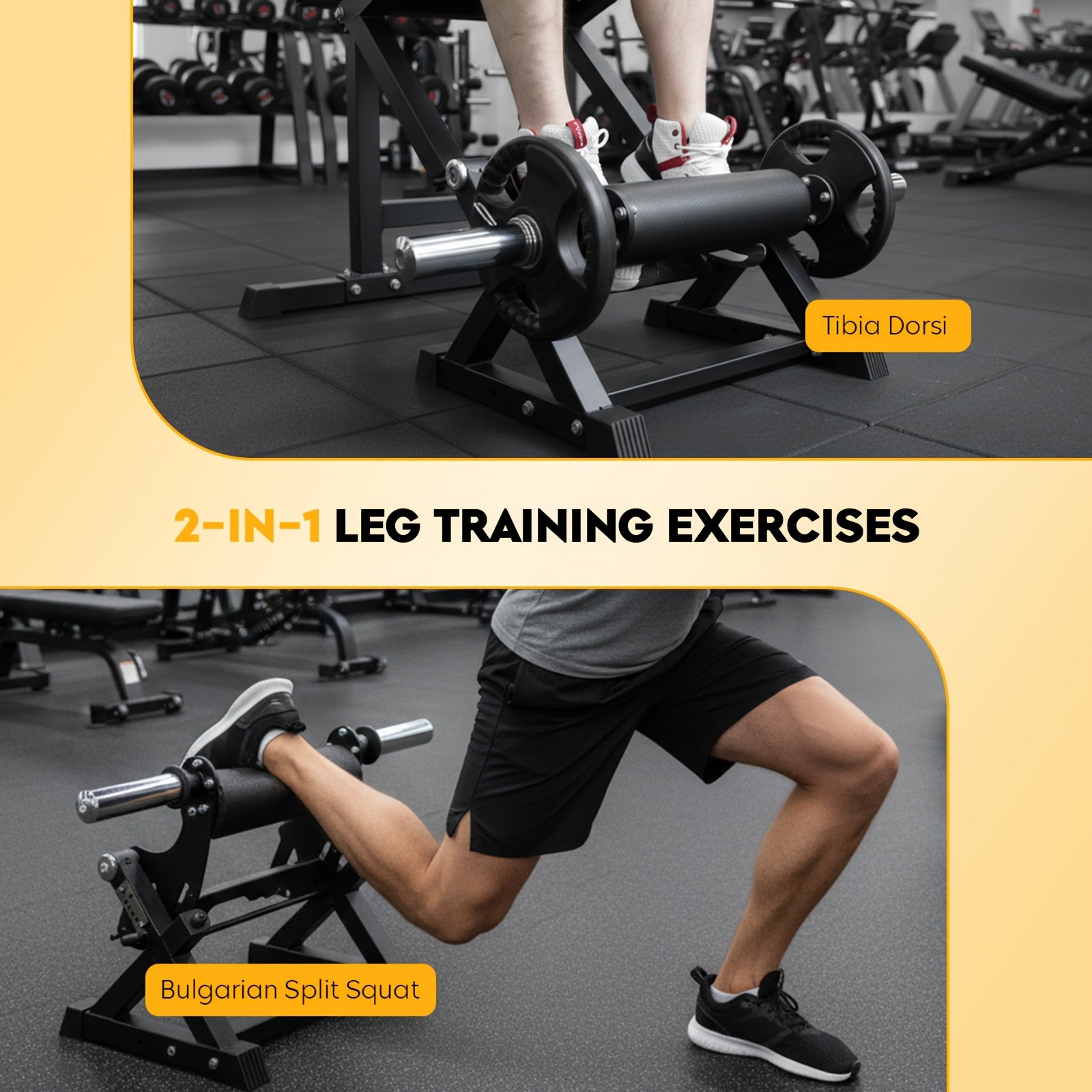 2-in-1 Tibia Dorsi & Split Squat Machine