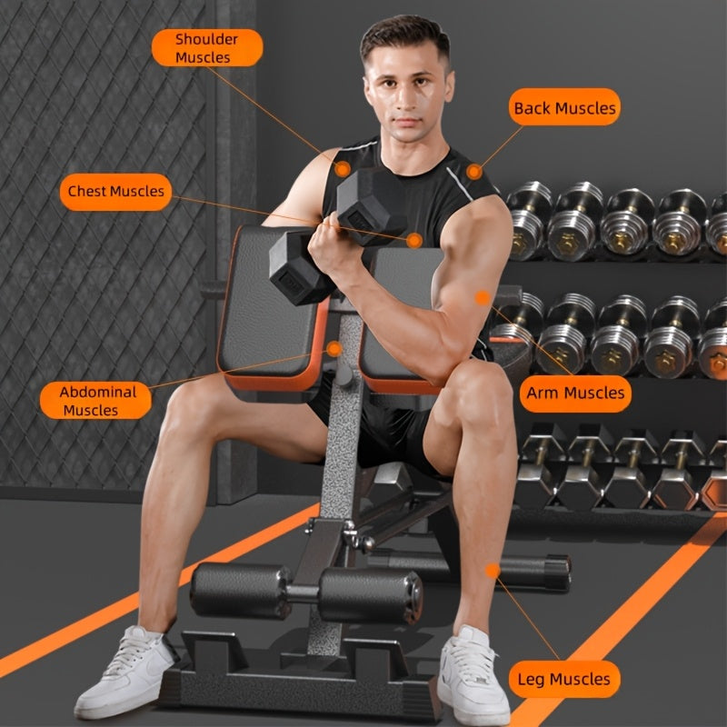Multi-Functional Roman Chair / Goat Hyperextension Bench
